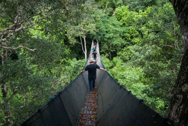 Quyến rũ Amazon, từ Peru đến Ecuador