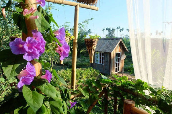 Resort Baan Rai I Arun ngập rau xanh được du khách Việt săn lùng