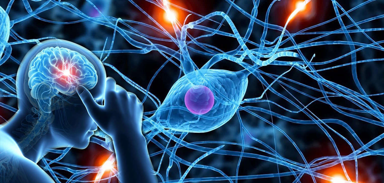 Rối loạn hệ thần kinh tự chủ: Nguyên nhân, chẩn đoán và cách điều trị