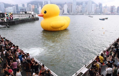 Rubber Duck - Chú vịt vàng khổng lồ đến Việt Nam