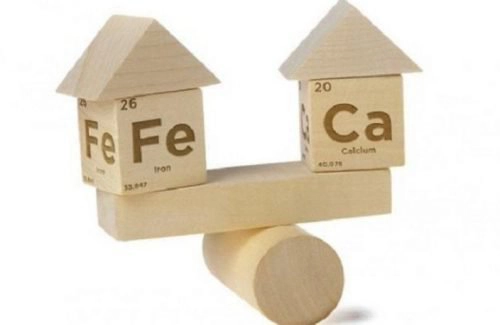 Sắt và canxi uống cách nhau bao lâu?