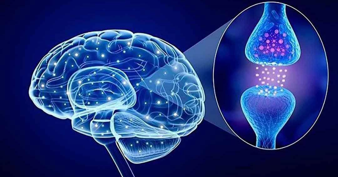 Serotonin và giấc ngủ