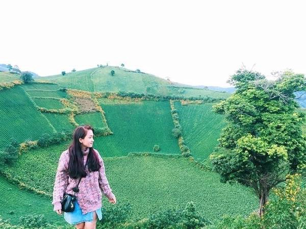 Set kèo đi Gia Lai để tham dự lễ hội hoa dã quỳ Chư Đăng Ya năm 2017