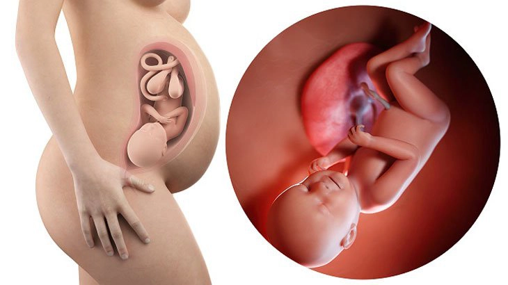 Sinh con ở tuần 38 có sao không?