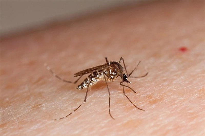 Sốt xuất huyết dengue có dấu hiệu cảnh báo sớm không?