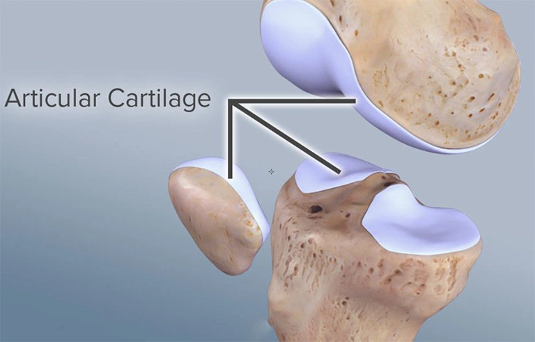 Sụn tăng trưởng ở trẻ có chức năng gì?