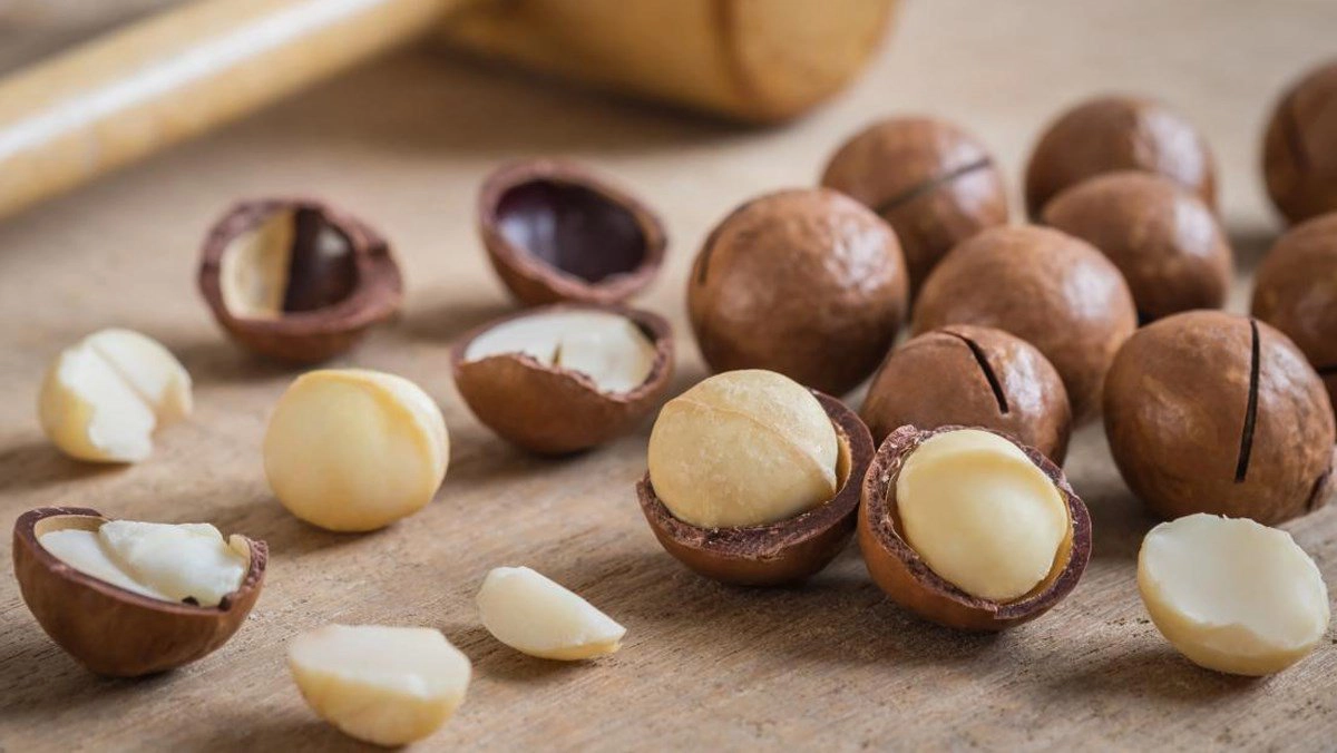 Tất cả điều cần biết về hạt macca