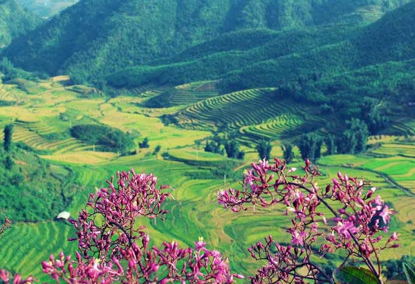 Tết này thăm 7 thung lũng đẹp như tranh ở Việt Nam