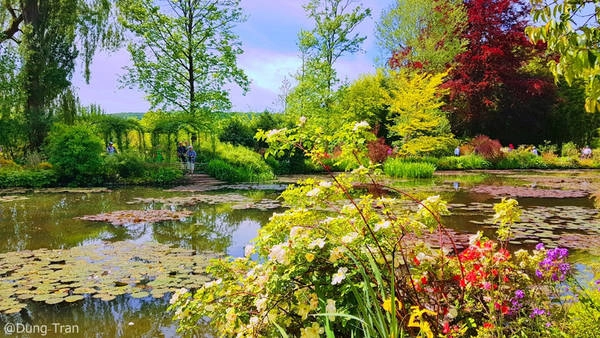 Theo cô gái Việt thăm vườn hoa của danh họa Monet