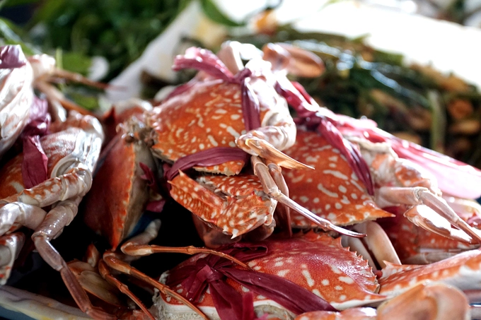Thiên đường’ hải sản tươi rói ở chợ ngoại ô Sài Gòn