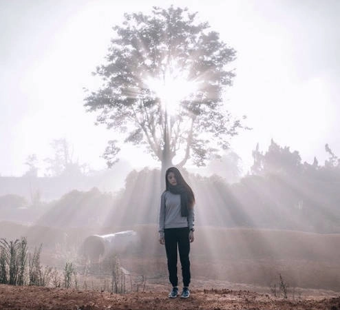 Thỏa thích lang thang khắp Đà Lạt 3 ngày với 3 triệu đồng