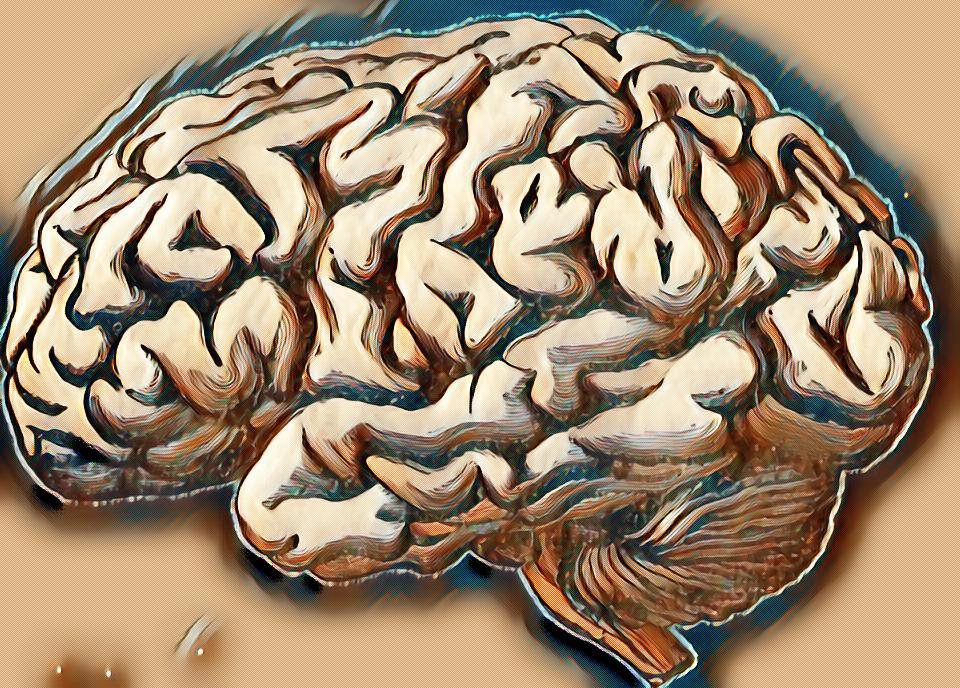 Thoái hóa chất trắng 2 bên bán cầu điều trị thế nào?