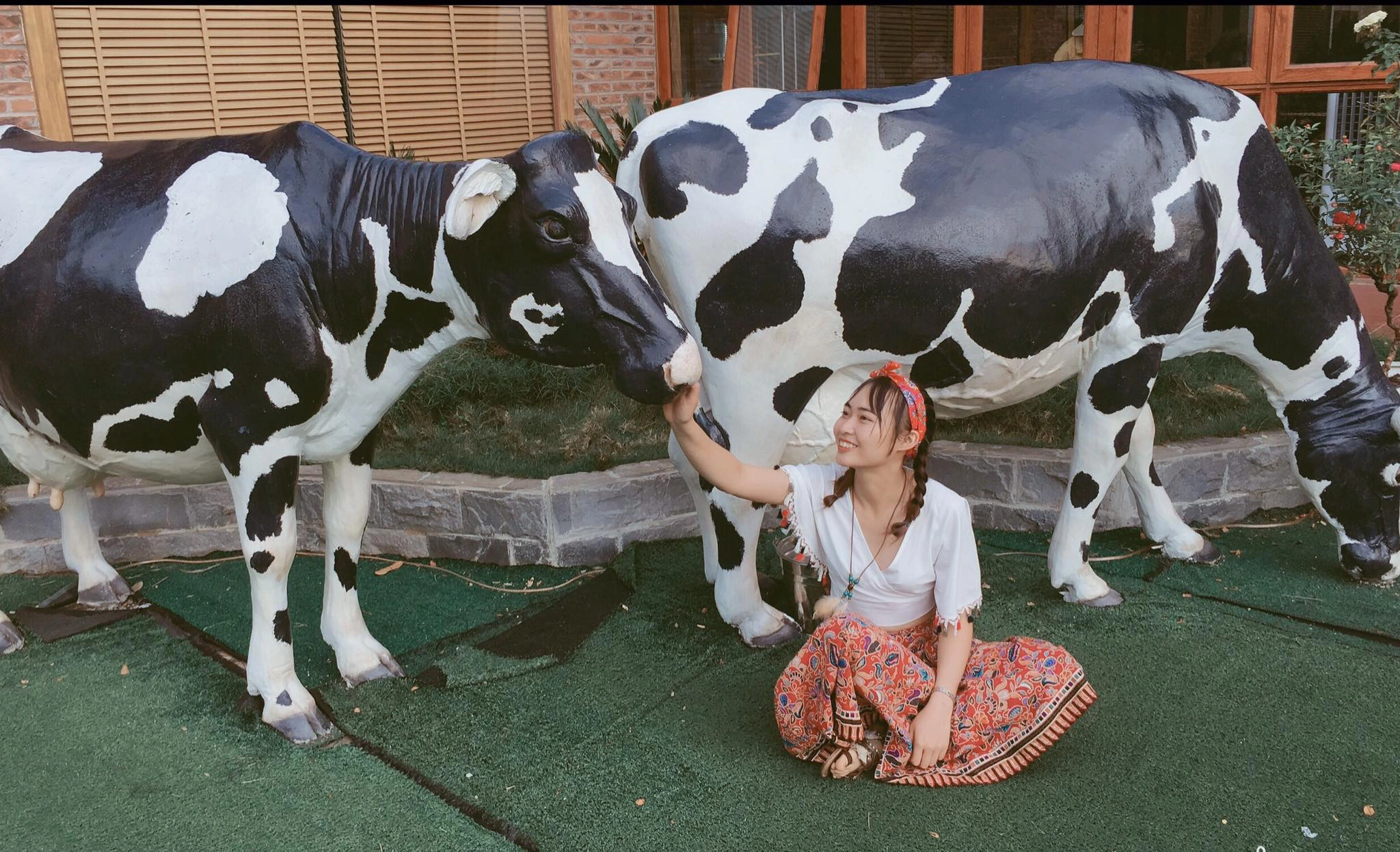 Thử một ngày làm nông dân ở nông trại Dairy Farm hot nhất Mộc Châu