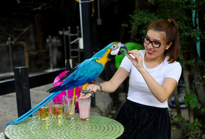 Thú vui cà phê với vẹt ở Sài Gòn