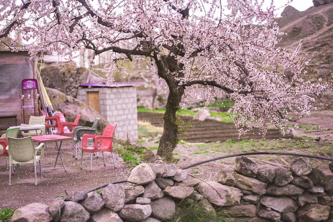 Thung lũng Hunza vào mùa hoa anh đào khoe sắc