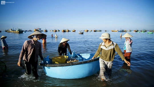 Thưởng thức hương vị biển tại Chợ hải sản - Muine Bay Resort