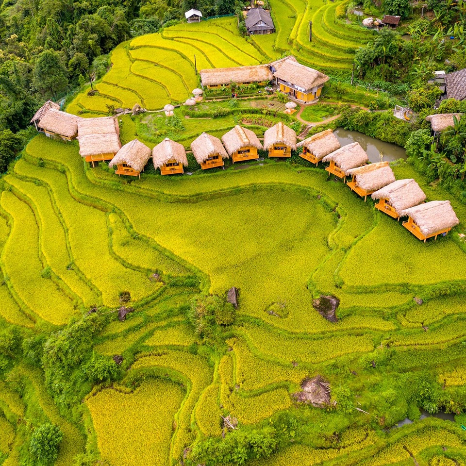 Tour Hà Giang 4N3Đ: Hoàng Su Phì - Simacai - Bắc Hà – Sapa chỉ 8.988.000đ/khách