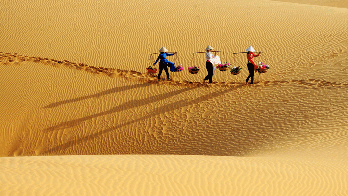 Tour Phan Thiết 2N1Đ khám phá Mũi Né - Lâu Đài Rượu Vang chỉ 2.186.000 đồng/khách