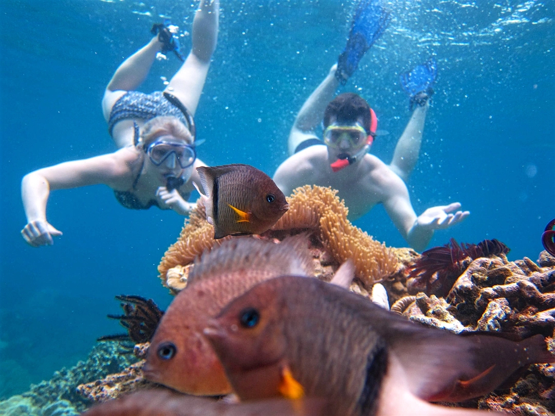 Trải nghiệm lặn ngắm san hô ở Hòn Mun chỉ với 450.000 đồng/khách