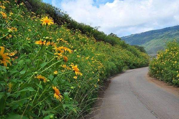 Trải nghiệm thú vị khi du lịch Đà Lạt tháng 11