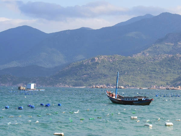 Tung tăng Phan Rang, Núi Chúa, Bình Lập với giá 1,2 triệu đồng