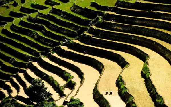 Tuyệt tác ruộng bậc thang Hoàng Su Phì mùa nước đổ