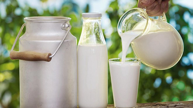 Uống sữa tươi không đường có tăng đường huyết không?