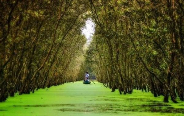 Vẻ đẹp của du lịch An Giang trong mắt phượt thủ