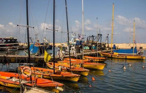 Vi vu trên đất thánh Israel