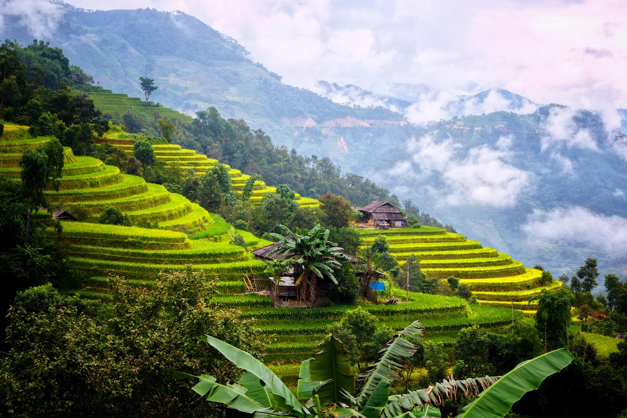 Việt Nam tuyệt đẹp mùa lúa chín
