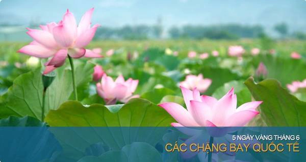 Vietnam Airlines gây sốc với giá vé quốc tế không thể rẻ hơn