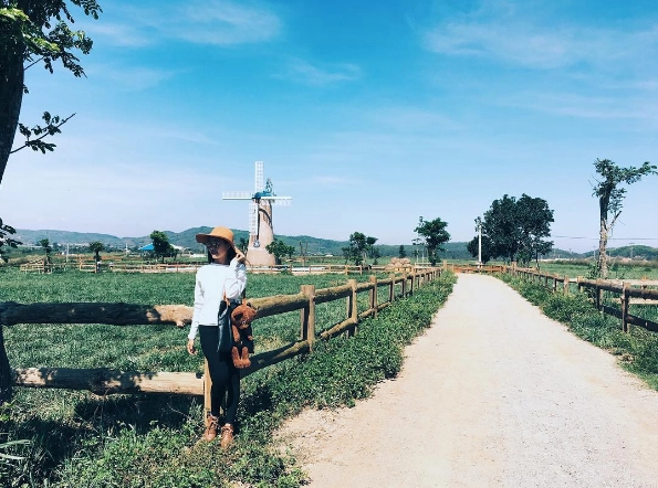 Vinamilk Organic Milk Farm, trang trại bò sữa đẹp như ở trời Âu tại Đà Lạt