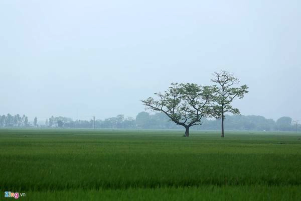 Vịnh Hạ Long thu nhỏ ở ngoại thành Hà Nội
