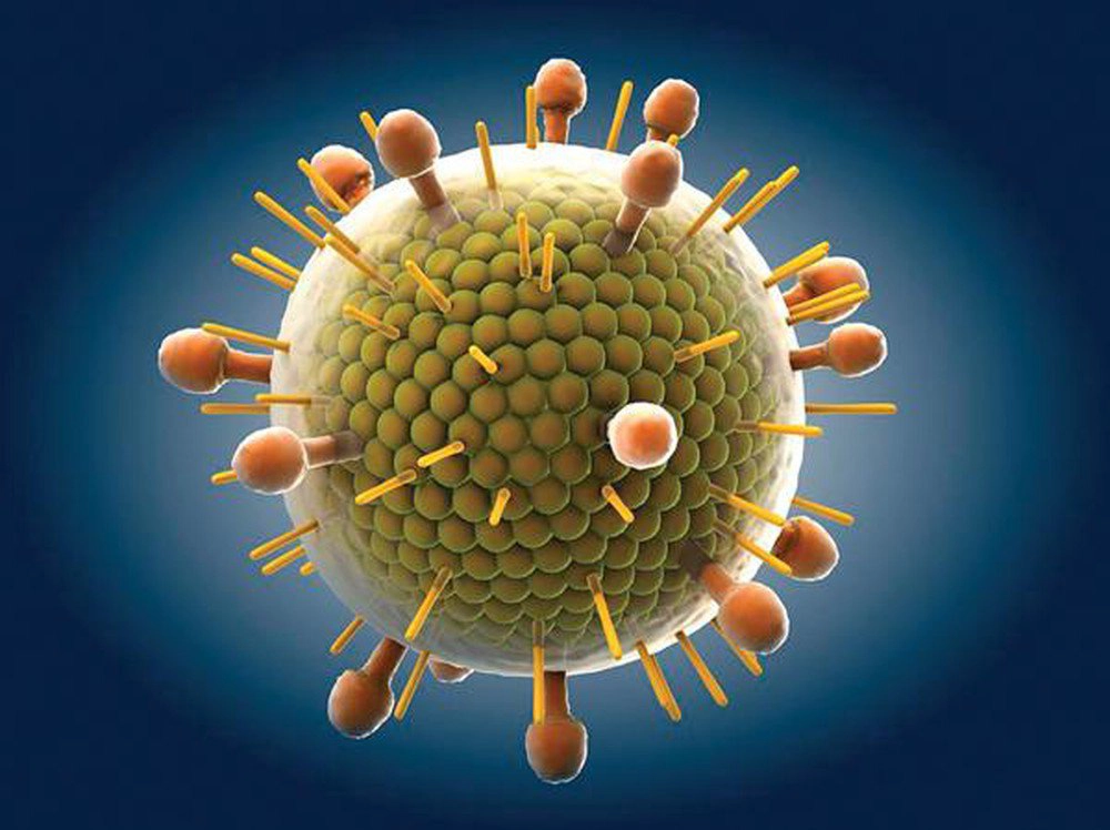 Virus là gì? Sự hình thành của virus?