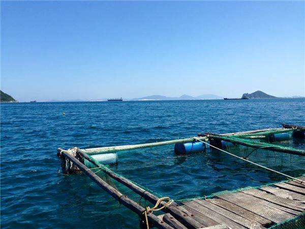 Vũng Rô – điểm đến lý tưởng cho chuyến du lịch hè