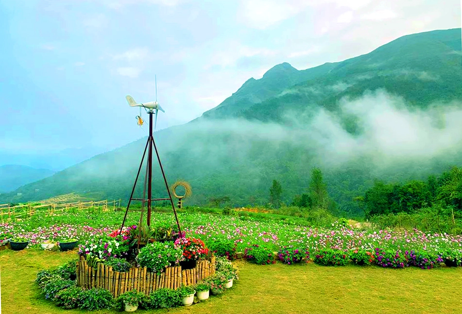 Vườn hoa Cao Sơn – Điểm chấm phá màu sắc giữa đại ngàn Bình Liêu