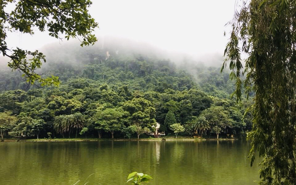 Vườn quốc gia Cúc Phương – Vườn quốc gia hàng đầu châu Á