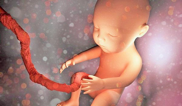 Xử trí sa dây rốn ở thai nhi khi đã vỡ ối